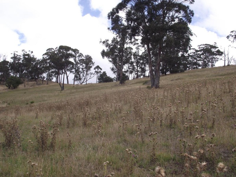 Lot 1 Williams Road, Tea Tree TAS 7017