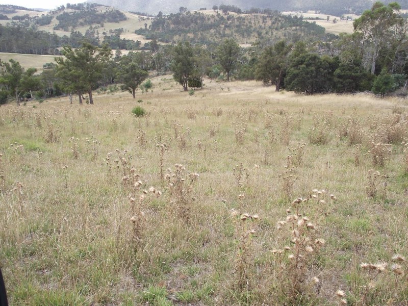 Lot 1 Williams Road, Tea Tree TAS 7017