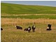 1211 Glenora Road, Plenty TAS 7140
