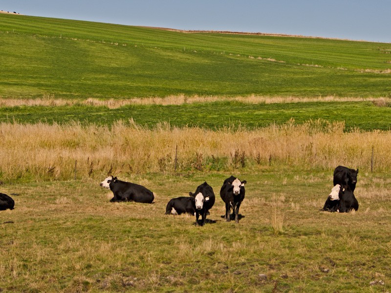 1211 Glenora Road, Plenty TAS 7140