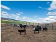 1211 Glenora Road, Plenty TAS 7140