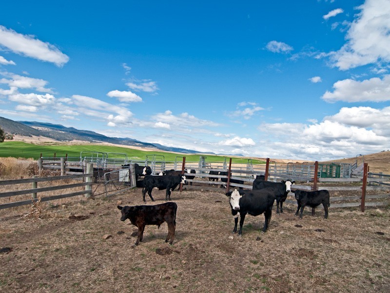 1211 Glenora Road, Plenty TAS 7140