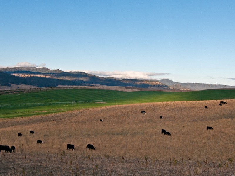 1211 Glenora Road, Plenty TAS 7140