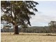 812 Prossers Road, Nunamara TAS 7259