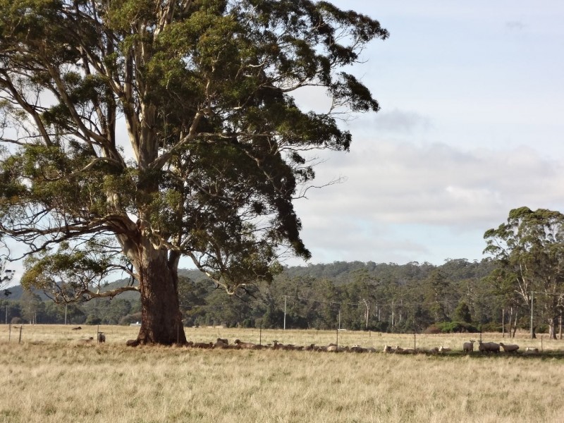 812 Prossers Road, Nunamara TAS 7259
