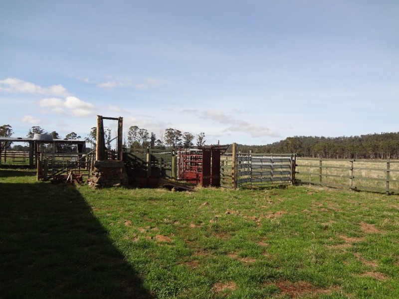 812 Prossers Road, Nunamara TAS 7259