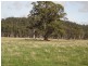 812 Prossers Road, Nunamara TAS 7259