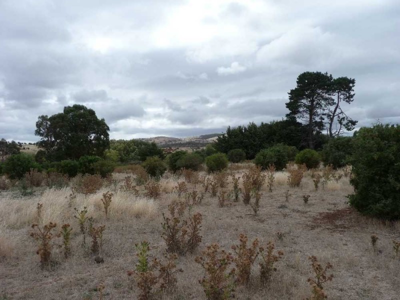 Lot 3 Lowe Street, Tunbridge TAS 7120