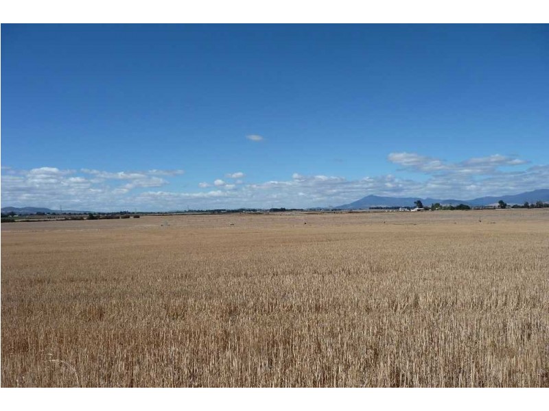 705 Maitland Road, Cressy TAS 7302