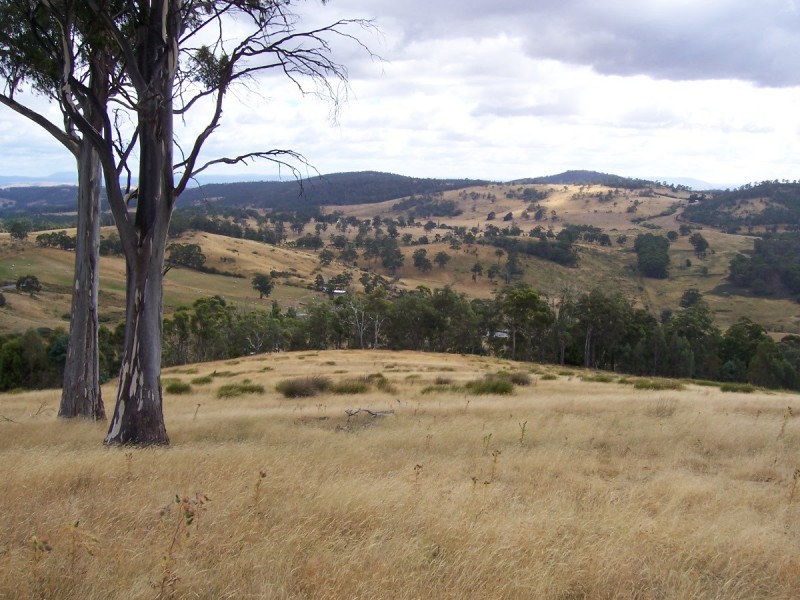 . Gully Road, Fentonbury TAS 7140