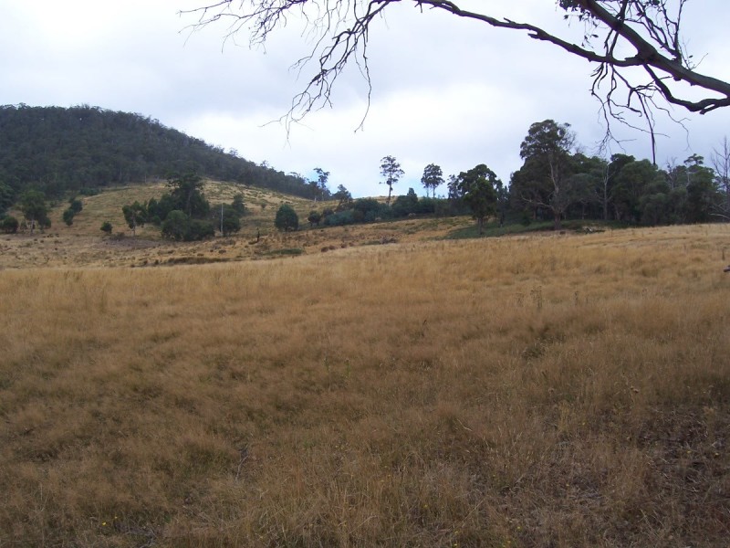 . Gully Road, Fentonbury TAS 7140