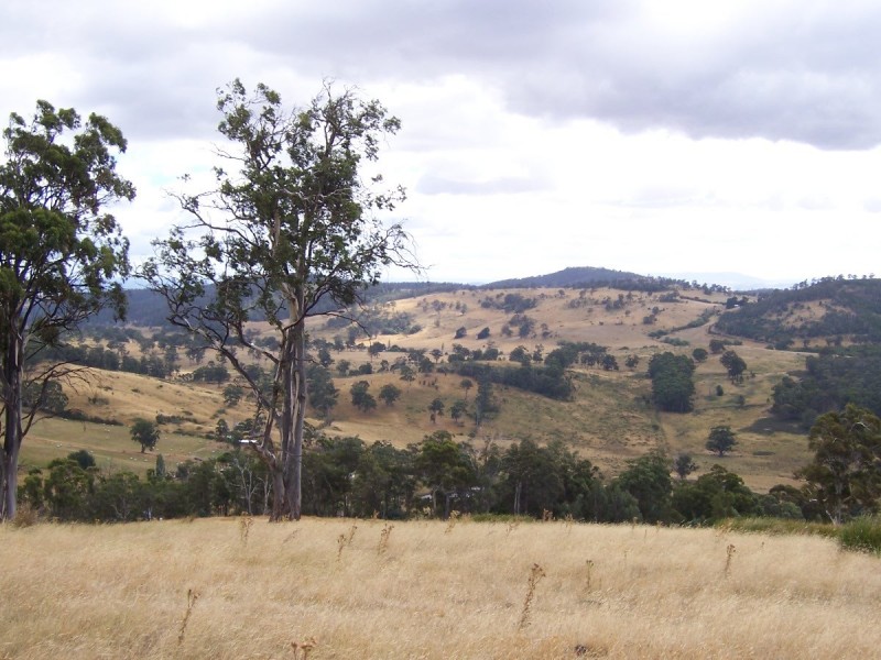 . Gully Road, Fentonbury TAS 7140