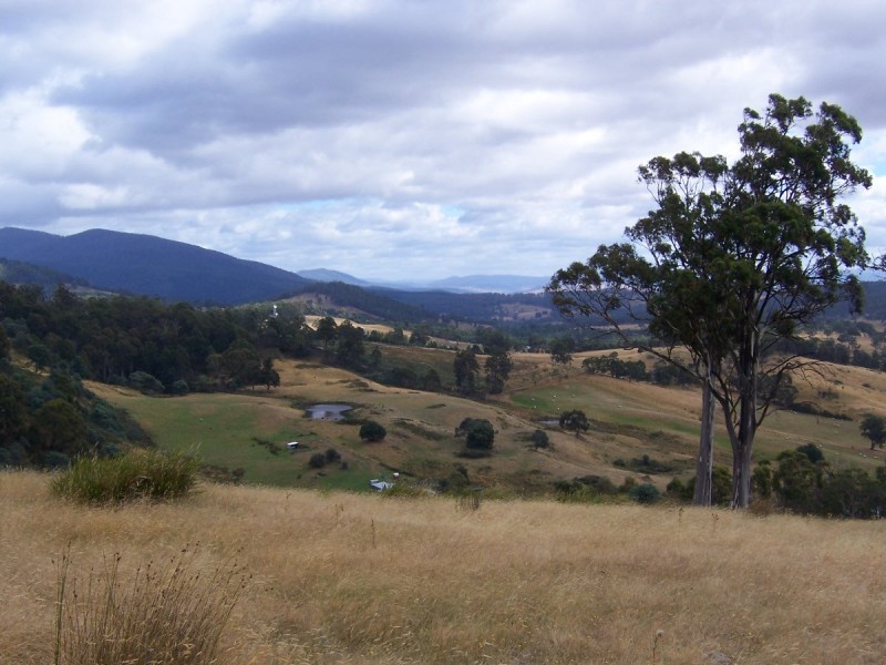 . Gully Road, Fentonbury TAS 7140