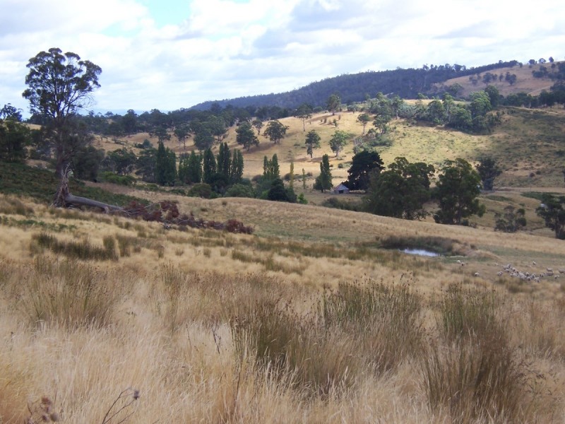 . Gully Road, Fentonbury TAS 7140
