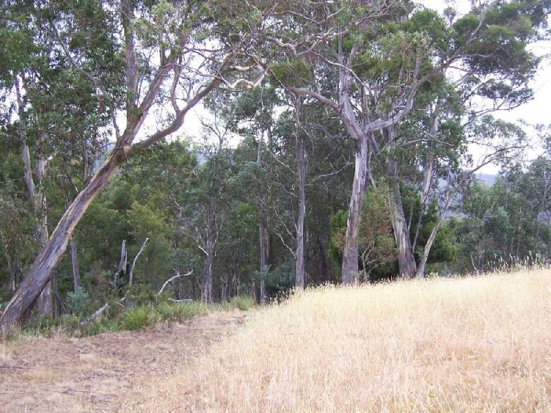 . Gully Road, Fentonbury TAS 7140