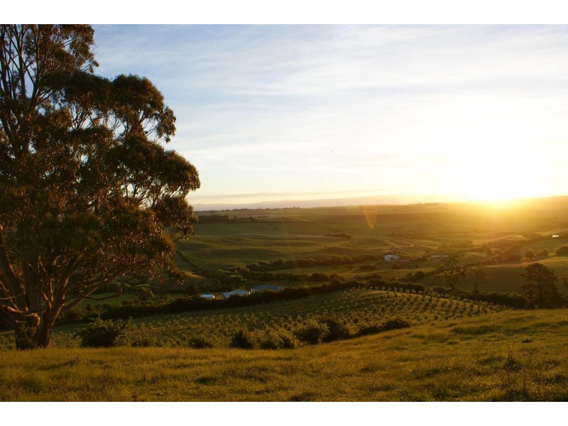 292 Everton Lane, White Hills TAS 7258