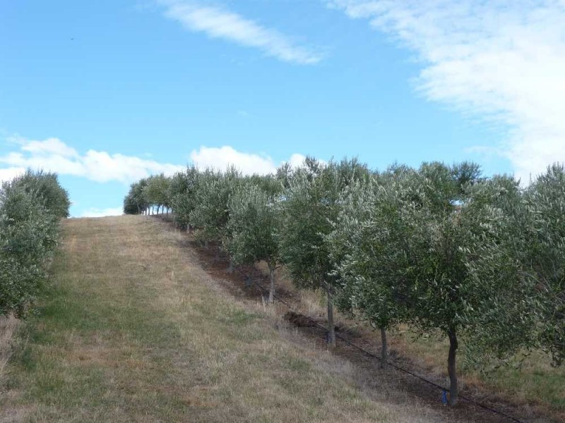 292 Everton Lane, White Hills TAS 7258