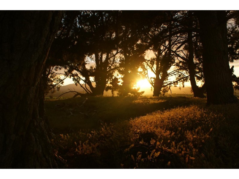 292 Everton Lane, White Hills TAS 7258