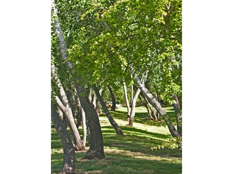 2 Wellington Street, Richmond TAS 7025