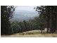 73 Sculthorpes Road, Nicholls Rivulet TAS 7112