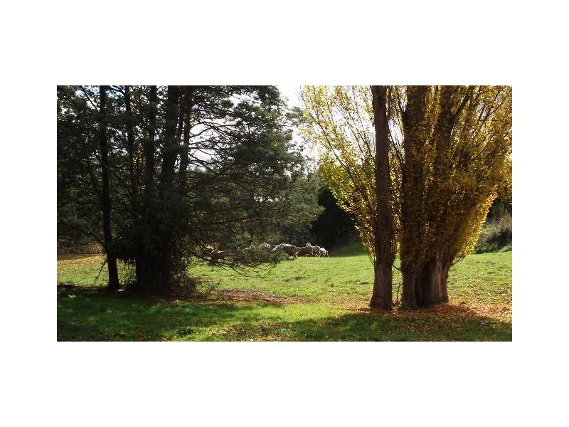 42 Kenmore Road, Glenora TAS 7140