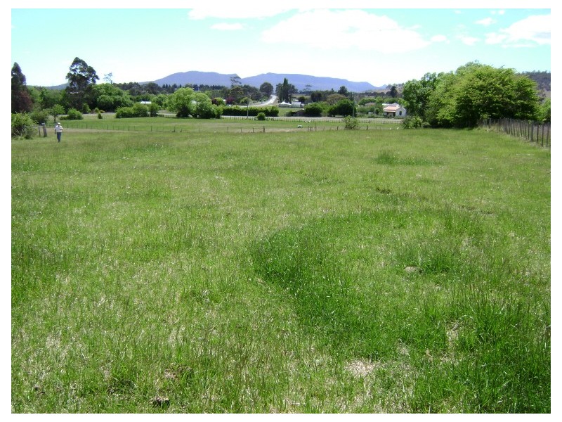 24500/4 Fraser Street, Fingal TAS 7214