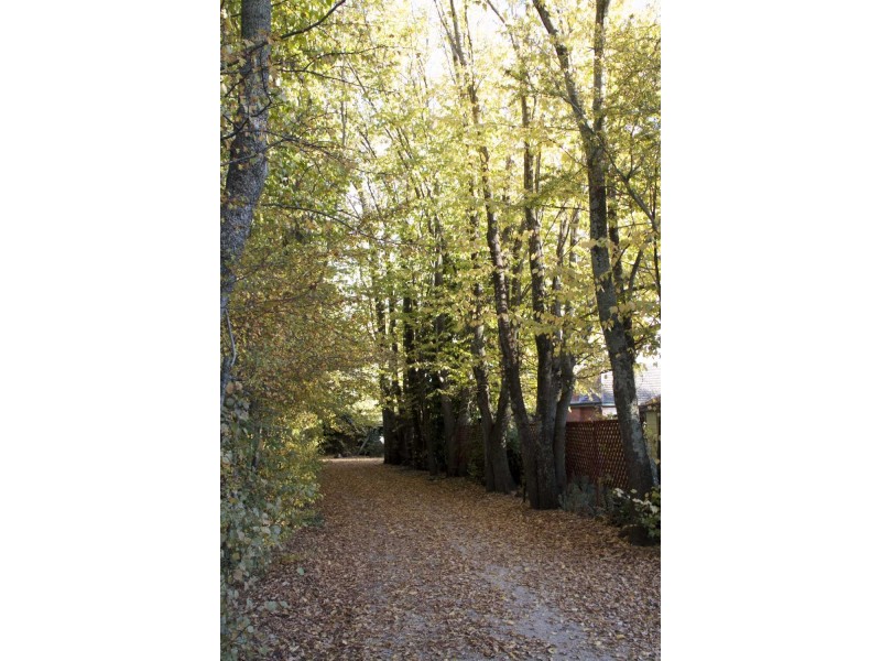 23 High Street, Evandale TAS 7212