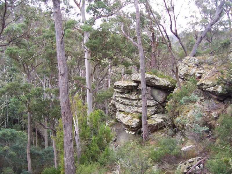 610 Sand River Road, Buckland TAS 7190