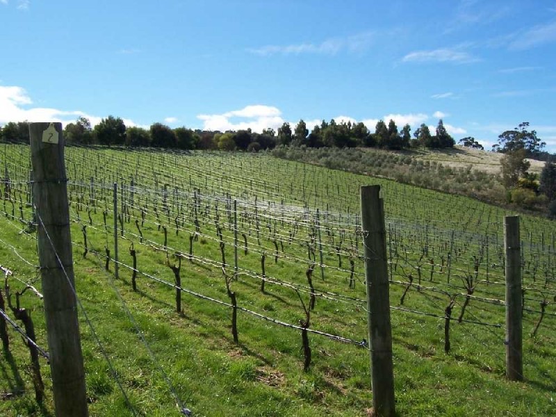336 Sugarloaf Road, Carlton River TAS 7173