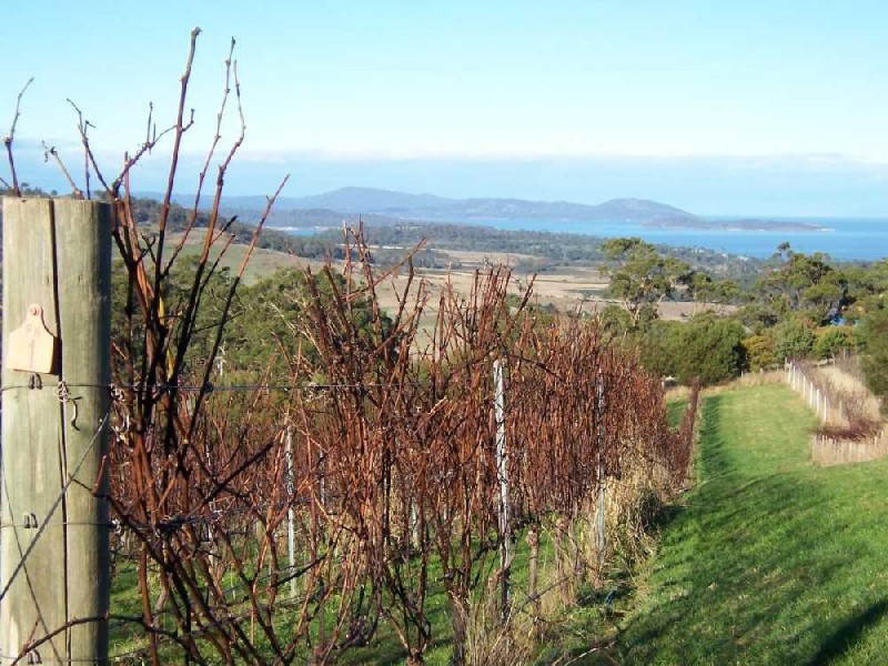 336 Sugarloaf Road, Carlton River TAS 7173