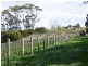 336 Sugarloaf Road, Carlton River TAS 7173