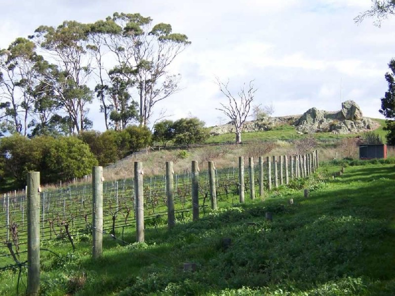 336 Sugarloaf Road, Carlton River TAS 7173