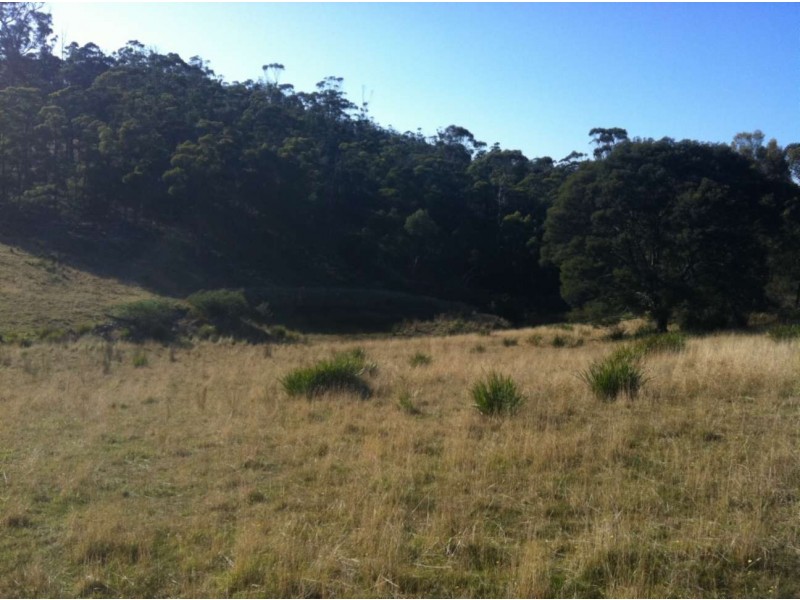 . Bresnehans Road, Little Swanport TAS 7190