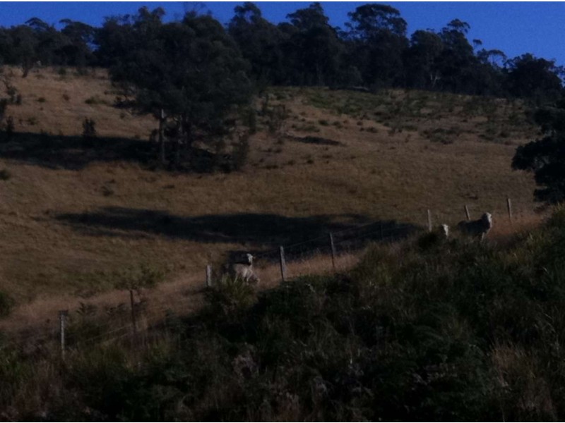 . Bresnehans Road, Little Swanport TAS 7190