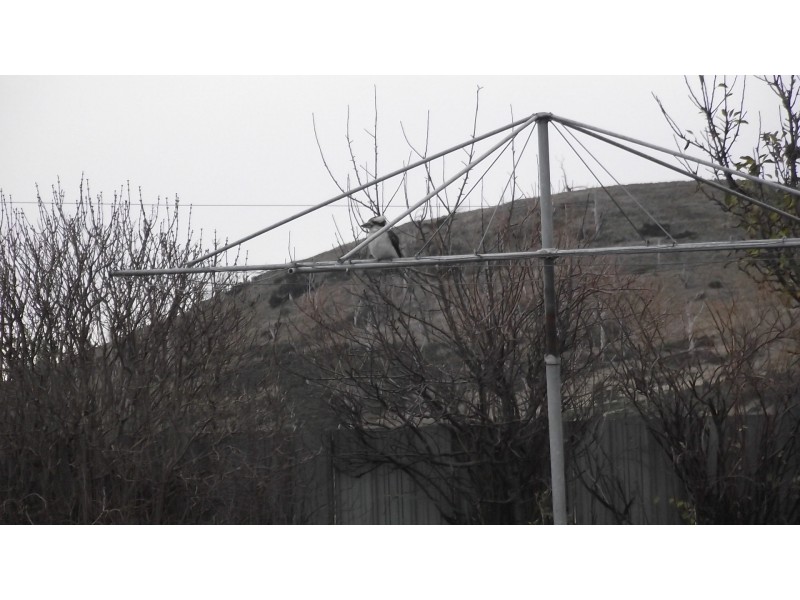 67 Jericho Road, Jericho TAS 7030