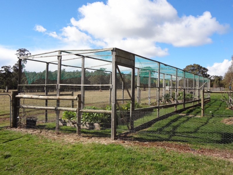 30 Hodgetts Road, Rosevale TAS 7292