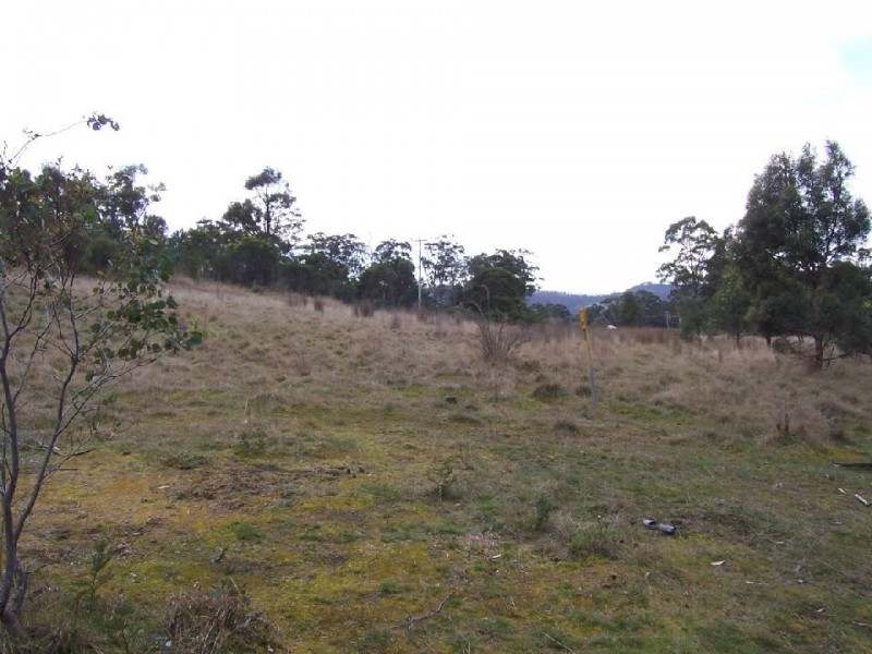 . Leesons Road, Westerway TAS 7140