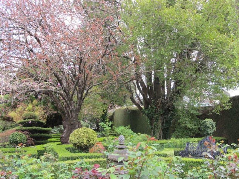 11 West Goderich Street, Deloraine TAS 7304