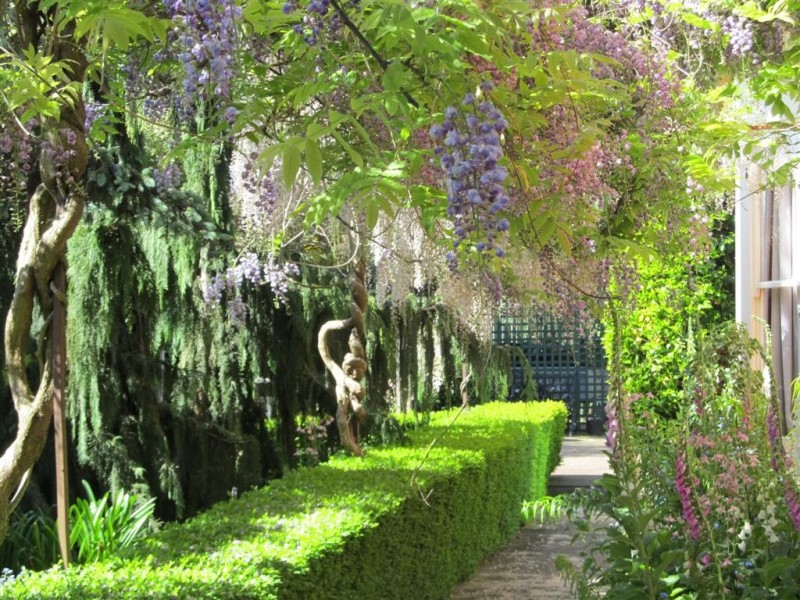 11 West Goderich Street, Deloraine TAS 7304