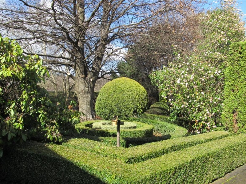 11 West Goderich Street, Deloraine TAS 7304