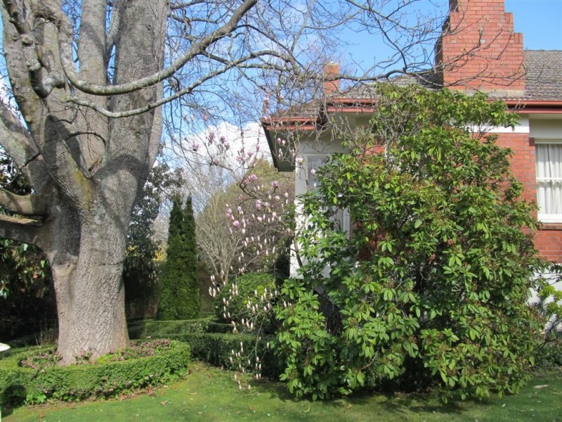 11 West Goderich Street, Deloraine TAS 7304