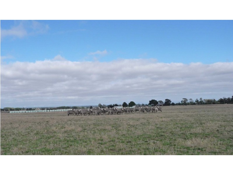631 Nile Road, Nile TAS 7212