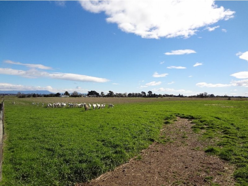 631 Nile Road, Nile TAS 7212