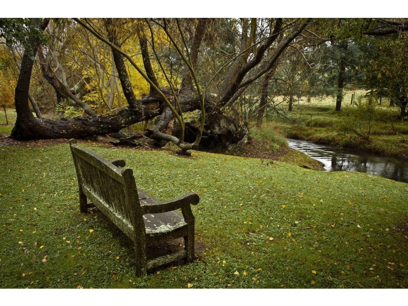 80 Den Road, Mole Creek TAS 7304