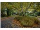 80 Den Road, Mole Creek TAS 7304