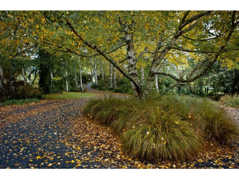 80 Den Road, Mole Creek TAS 7304