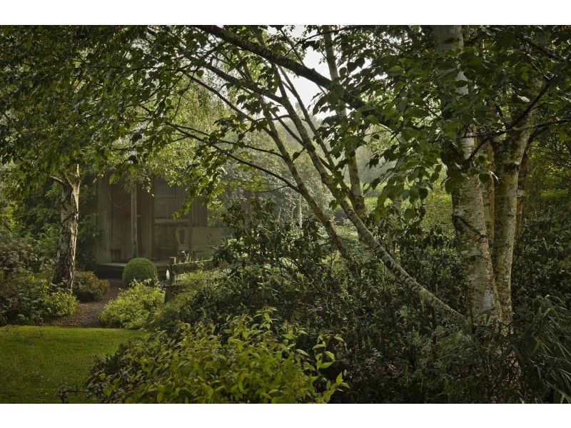 80 Den Road, Mole Creek TAS 7304