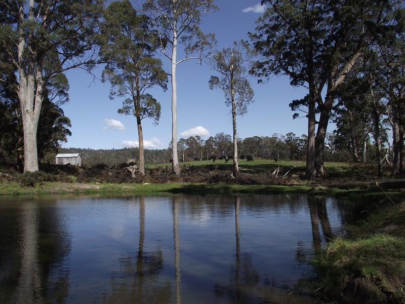 2928 Woodsdale Road, Woodsdale TAS 7120