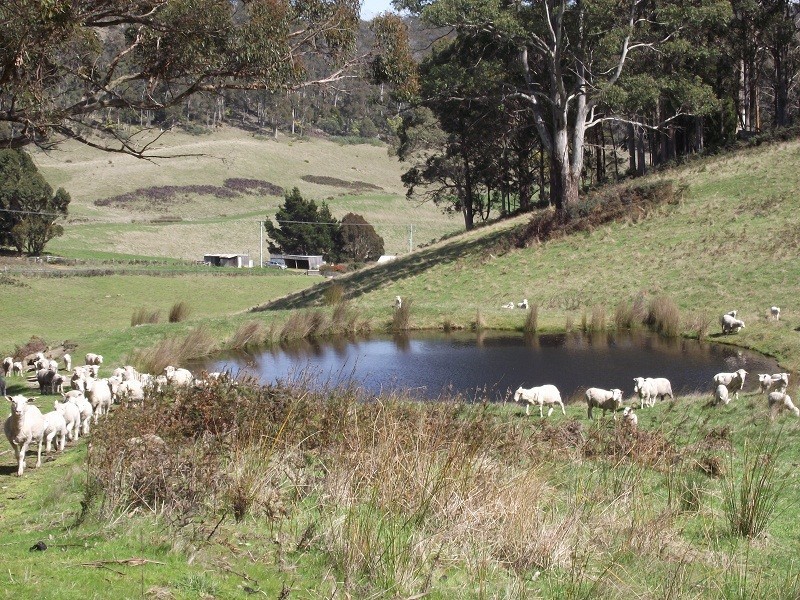 2928 Woodsdale Road, Woodsdale TAS 7120