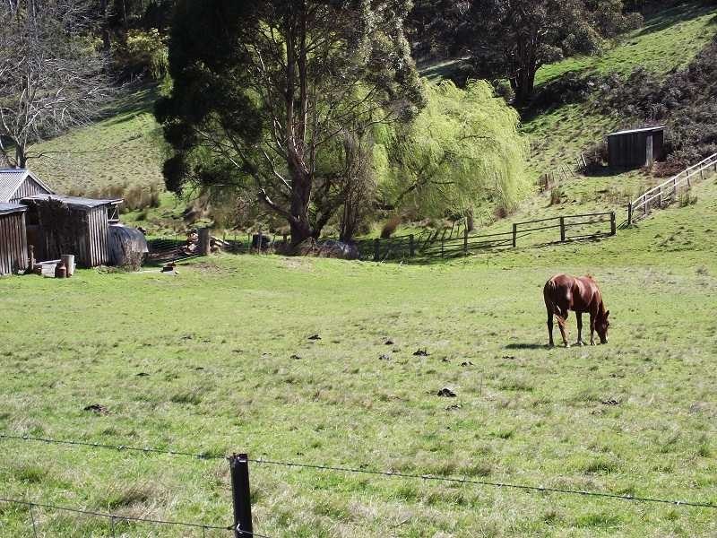 2928 Woodsdale Road, Woodsdale TAS 7120